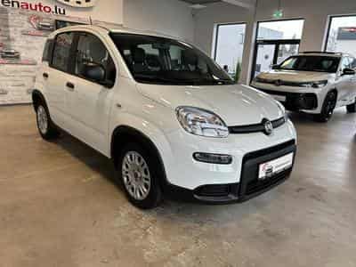 Fiat Panda (2023) - Photo 2