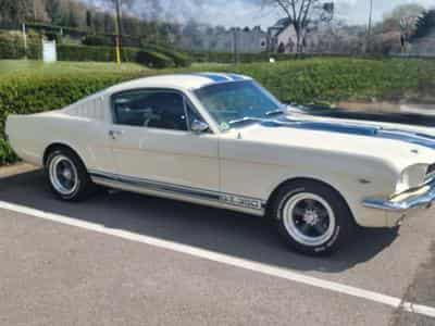 Ford Mustang Fastback GT350 A 1965 (2000) - Foto 5