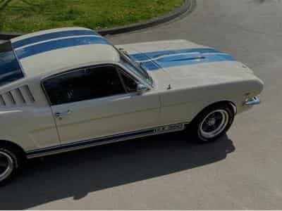 Ford Mustang Fastback GT350 A 1965 (2000) - Foto 6