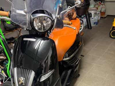 Peugeot Django (2024) - Foto 1