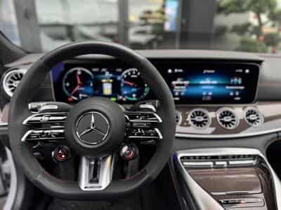 Mercedes AMG GT 63 SE GT4 Performance 4MATIC 4.0 843CV (2023) - Foto 6