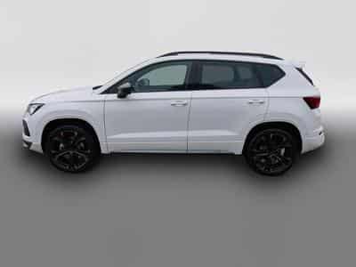 Cupra Ateca (2026) - Photo 4