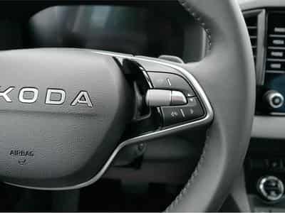 Skoda Karoq (2026) - Photo 15