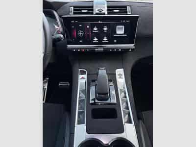 DS Automobiles DS7 DS7 E-TENSE 360 performance Line (2023) - Foto 11