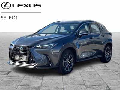Lexus NX Business Line (2024) - Foto 1