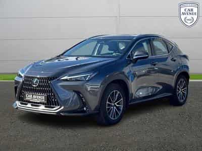 Lexus NX Business Line (2024) - Foto 15