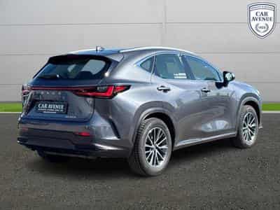 Lexus NX Business Line (2024) - Foto 2