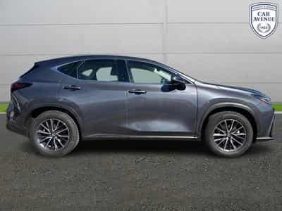 Lexus NX Business Line (2024) - Foto 5