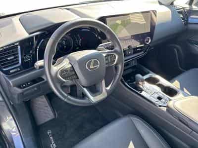 Lexus NX Business Line (2024) - Foto 7