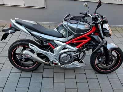 Suzuki Gladius Gladius 650 (2011) - Photo 1