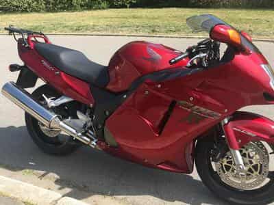 Honda CBR CBR 1100XX (1999) - Photo 1