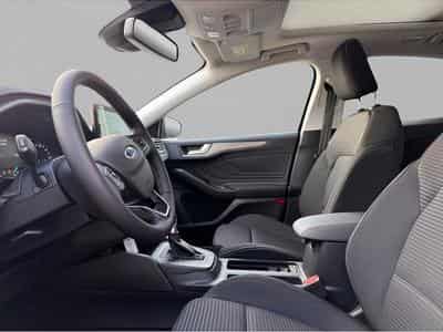 Ford Focus (2025) - Photo 7