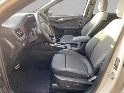 Ford Kuga (2025) - Photo 7