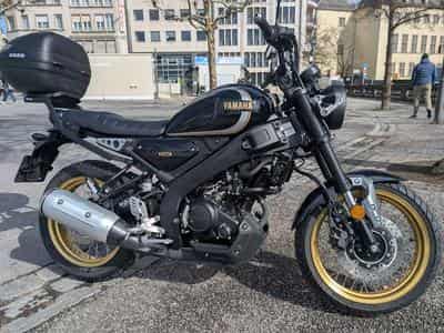 Yamaha XSR Yamaha XSR 125 Legacy (2024) (2024) - Foto 1