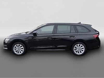 Skoda Octavia (2026) - Photo 4