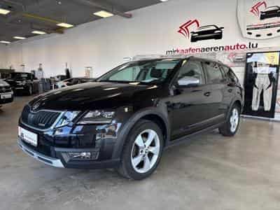 Skoda Octavia Scout 4x4 (2019) - Photo 6