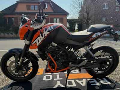 KTM Duke 125 Duke (2015) - Foto 3