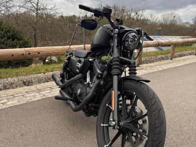 Harley-Davidson Softail Street Bob HARLEY DAVIDSON SPORSTER 1200 IRON (2016) - Photo 1