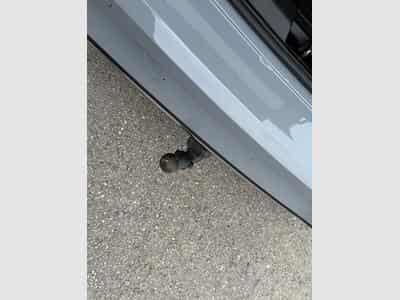 VW Golf Volkswagen golf 8 2.0 tdi Life active dsg 150cv ** toitouvra (2023) - Photo 14