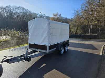 Stema HP2025 (1999) - Foto 1