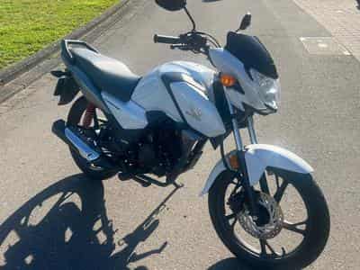 Honda CBF (2024) - Photo 1