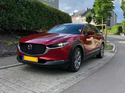 Mazda CX-30 SKYCRUISE (2020) - Foto 2