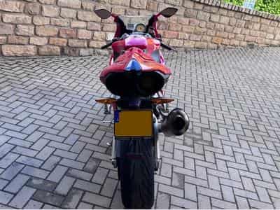 Benelli Tornado Tornado 900TRE (2007) - Photo 6