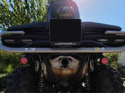 BRP Can-Am Outlander Outlander Max Limited 1000R T ABS (2025) - Foto 5