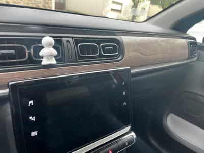 Citroën C3 1.2 110 shine automatique (2022) - Photo 10