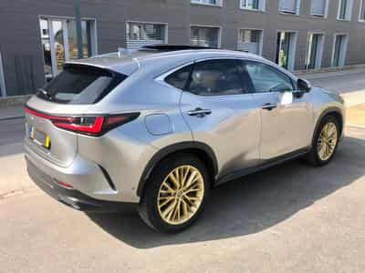 Lexus NX 450h Privilège(LU-BE) Luxury(DE) (2025) - Photo 3