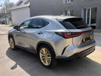 Lexus NX 450h Privilège(LU-BE) Luxury(DE) (2025) - Photo 4