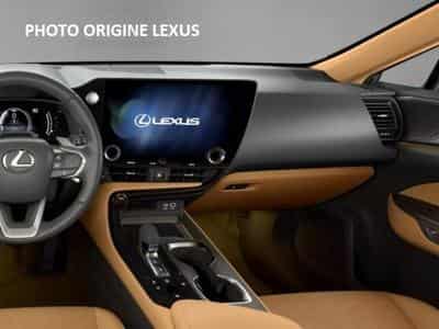 Lexus NX 450h Privilège(LU-BE) Luxury(DE) (2025) - Photo 6