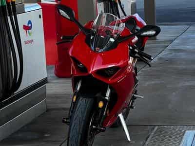 Ducati 955 V2 panigale (2024) - Photo 1