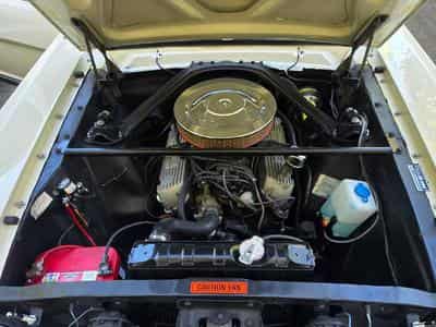 Ford Mustang Fastback GT350 Tribut 1965 (1970) - Foto 5