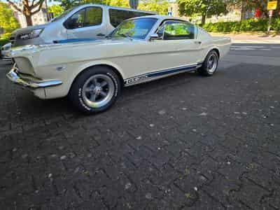 Ford Mustang Fastback GT350 Tribut 1965 (1970) - Foto 13