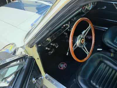 Ford Mustang Fastback GT350 Tribut 1965 (1970) - Foto 15