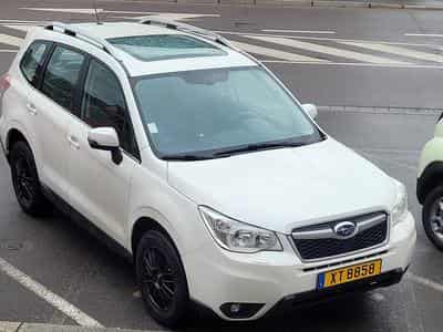 Subaru Forester (2015) - Foto 1