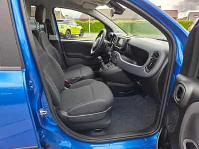 Fiat Panda CROSS 1.0 HYBRID 70 CV (2024) - Photo 6