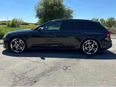 Audi RS4 Competition (2024) - Photo 2