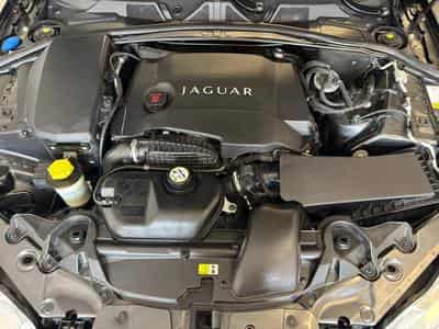 Jaguar XF 3.0 V6 Diesel Premium Luxury (2011) - Foto 13
