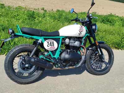 Royal Enfield Interceptor Bear 650  Edition 249 (2025) - Photo 1