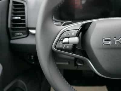 Skoda Karoq Selection 2.0 TDI DSG 4x4 (2026) - Foto 12