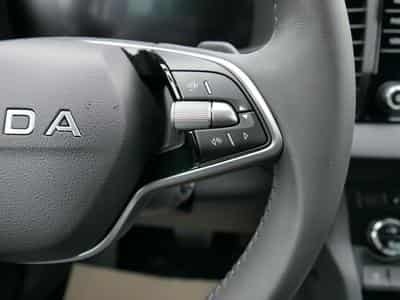 Skoda Karoq Selection 2.0 TDI DSG 4x4 (2026) - Foto 13