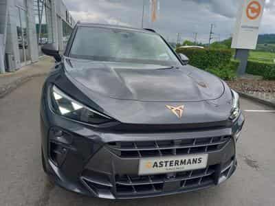 Cupra Terramar VZ (2026) - Photo 12