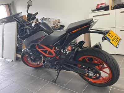 KTM Duke 390 (2022) - Photo 1