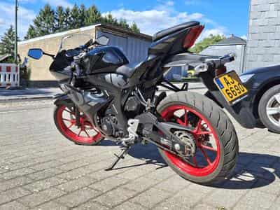 Suzuki GSXR 125 (2023) - Photo 3