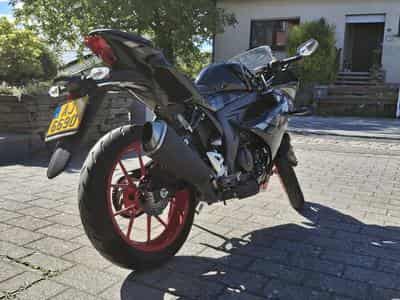 Suzuki GSXR 125 (2023) - Photo 5