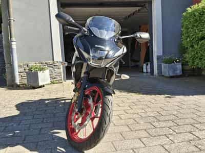 Suzuki GSXR 125 (2023) - Photo 8