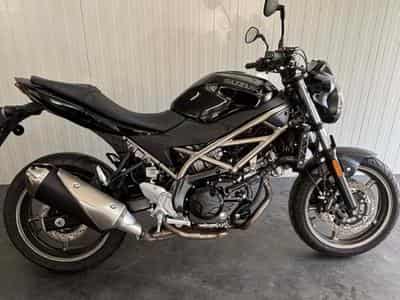 Suzuki SV 650 (2024) - Photo 1