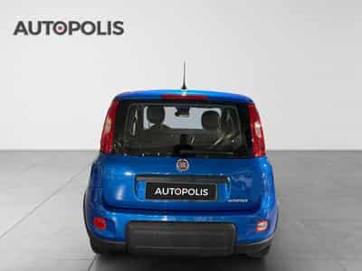 Fiat Panda 1.0 Easy (2024) - Foto 15